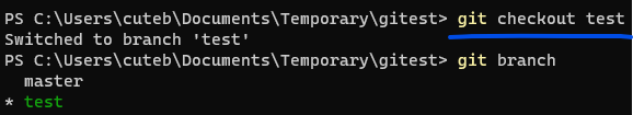 git checkout test