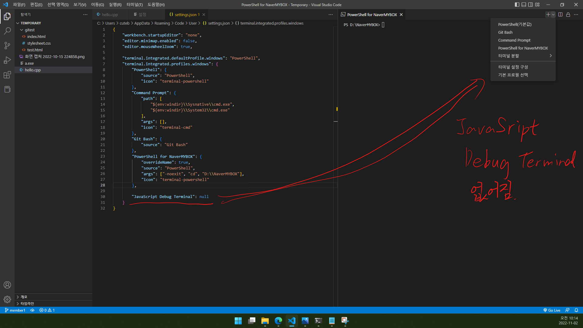 JavaScript Debug Terminal null