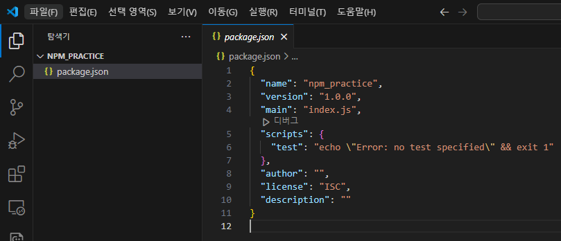 package.json