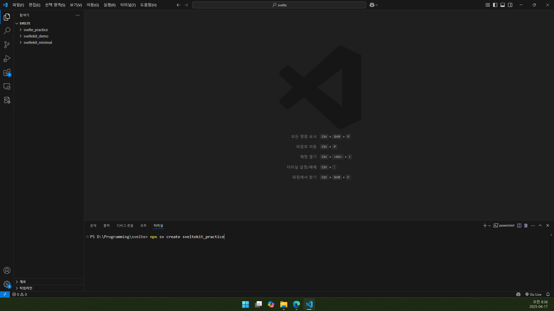 VS Code 터미널에 명령어 입력