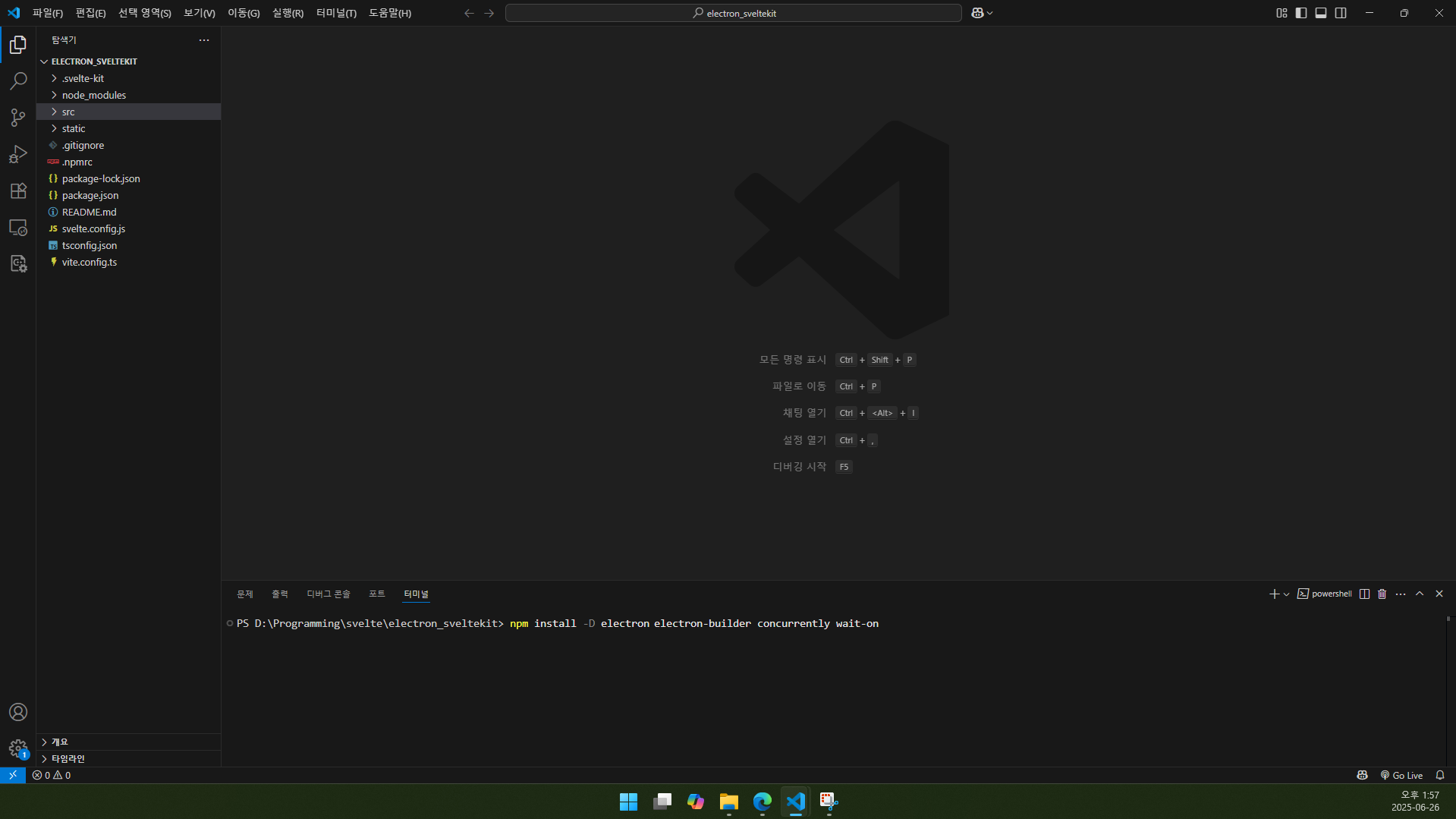 npm install -D